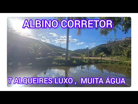 7 ALQUEIRES DE TERRA, MUITA ÁGUA, CAFÉ MUITO BOM.