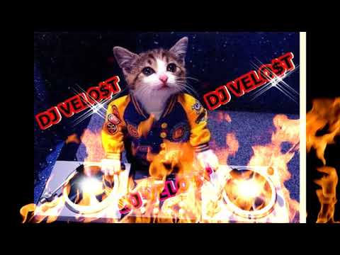 MONTAGEM ''BAILE DE FAVELA REGGAETON'' - PART MC LEVIN 2019 DJ VELOST