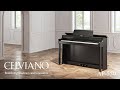 Casio E-Piano CELVIANO AP-550 Schwarz