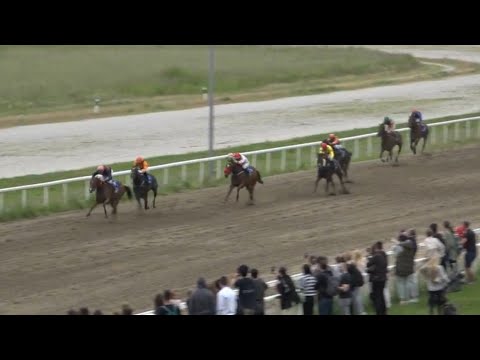 Trka "Čukarica 2025" - Beogradski hipodrom - Pompea Fiore 🏆🥇☘️