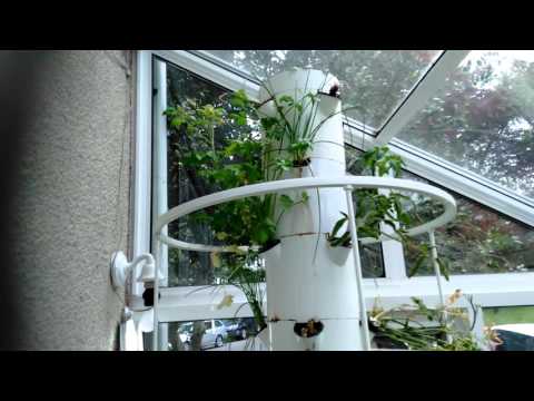 Solar CITIES airlift aeroponics PVC tree test