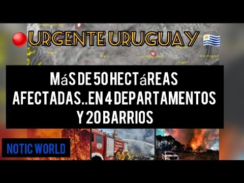 🔴URUGUAY ARDE⚠️ INCENDIOS EN DIFERENTES DEPARTAMENTOS!! RIO NEGRO, SORIANO,PAISANDÚ Y CANELONES🚩 🇺🇾