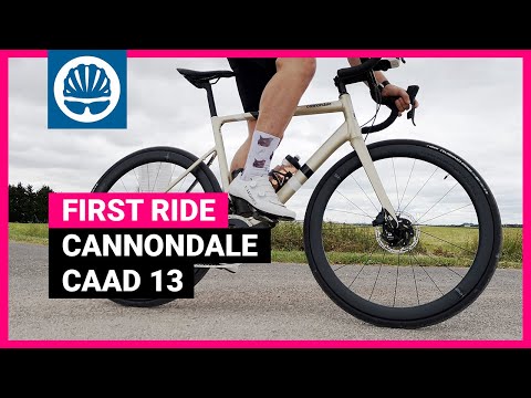 Der neue König der Aluminium-Bikes? | Cannondale CAAD 13