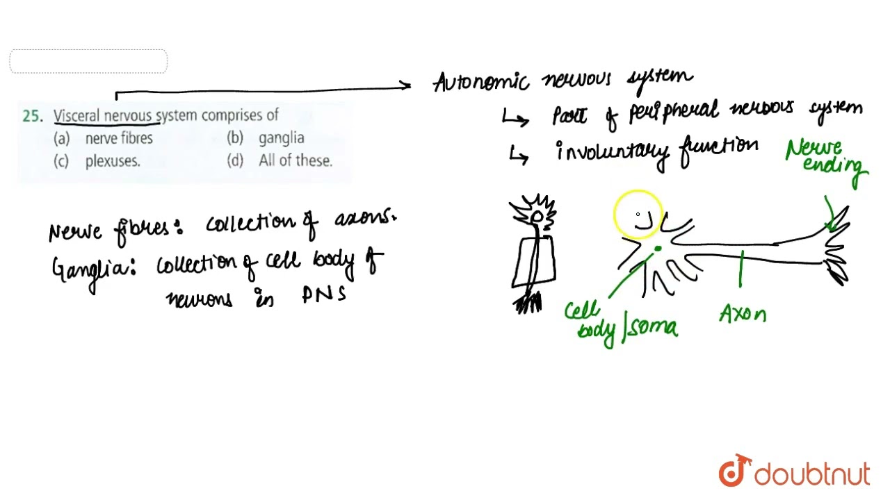 Visceral nervous system comprises of  | 11 | NEURAL CONTROL AND COORDINATION | BIOLOGY | NCERT F...
