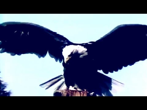 Iz@ Medošević - Čubiš uz TV