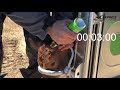 Роговыжигатель газовый EXPRESS FARMING ALIOS Видео