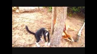 Giro in giro per la Sardegna_0001.wmv