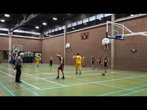 Tigers Halle Buzzer Miel