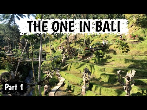 Bali Swing, Tegallalang, Tirta Empul, Mount Batur, Luwak Coffee | Aquele em Bali - Parte 1