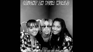 Caught In Your World (Unreleased) -Dimension TLC-