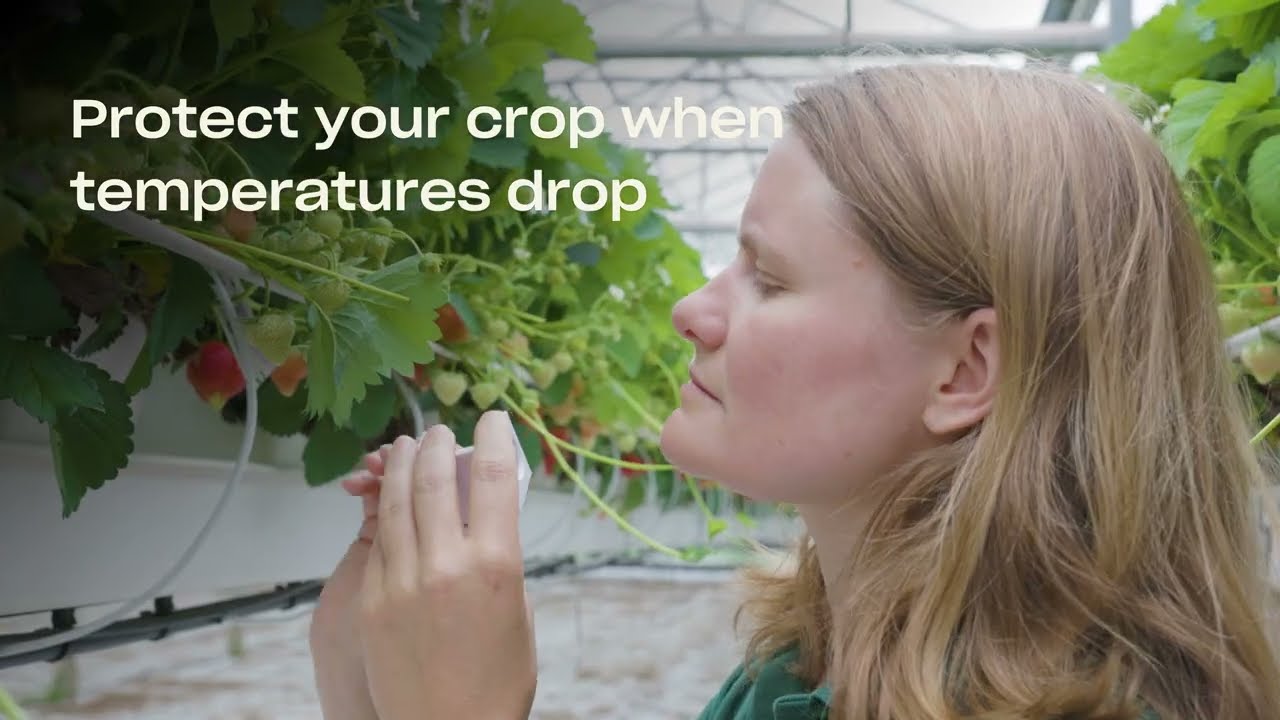 Video preview poster