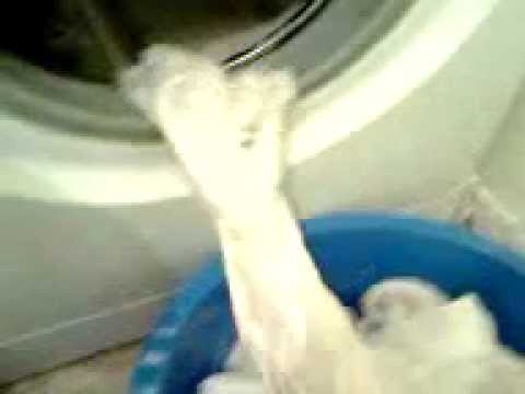 Cum isi jefuieste clientii hotelul Sir Orhideea din Bucuresti