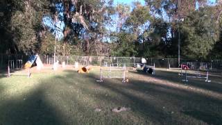 Daisy Week 3 Sequence 2b