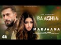Baaghi 4 Marjaana Song Lyrics Sonu Khan