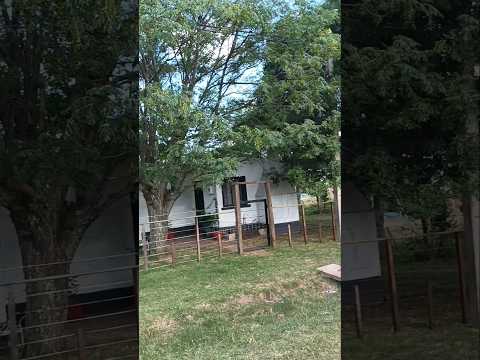 Localidad de Puntas de Valentín , dpto.  de Salto , Uruguay , interior turbo/mega/ultra profundo 🇺🇾