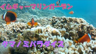 宮古島2024 イムギャーマリンガーデンとシギラビーチでシュノーケリングをしてみたら・・・クマノミパラダイスが待っていた。