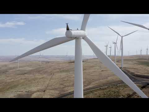 One of Don Quixote's USA Playgrounds Today