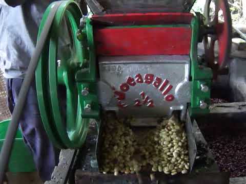 DESPULPADORA JOTA GALLO 3 1/2_2