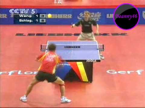 Wang Hao vs Werner Schlager (2008 Men's World Cup)