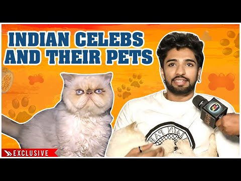 Zeeshan Khan Reveals His Bond With Cute Pet Cat Dumbnut | Never Seen Before Moments