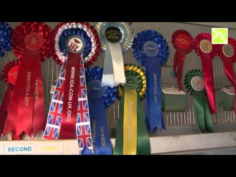 Toer de Lei - Pieter Renders Hegelsom