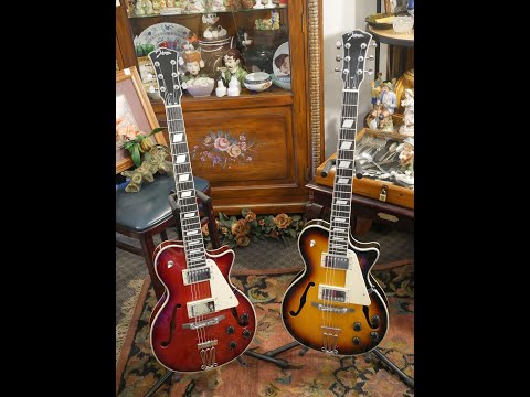 Johnson Delta Rose Hollowbody Sunburst 2020’s - Glossy Sunburst image 11