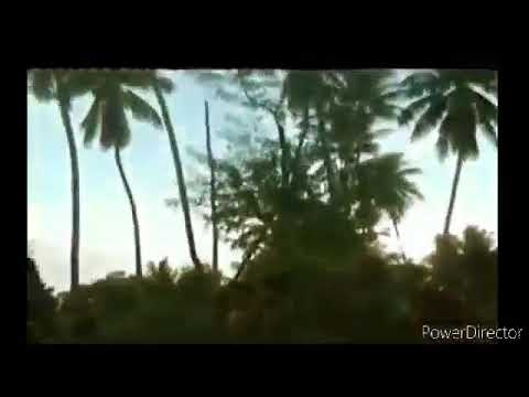 Tai tatanrikaaki maa taraa te tai are imwaain