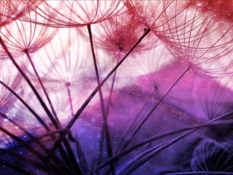 David Guetta Vs. Flo Rida Vs. LMFAO Vs. Adele & More - What The Fuck (Mash Up)