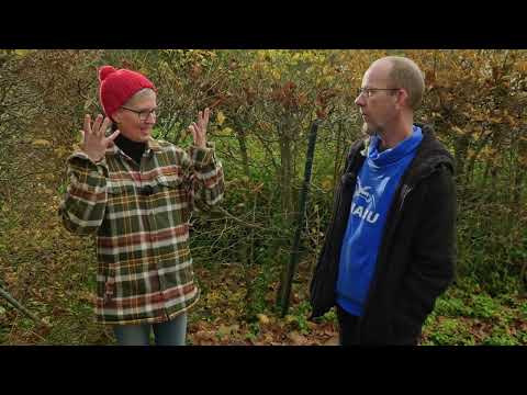 Feuersalamander im Garten | „Gabis Garten“ mit Gabi Pratz