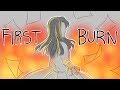 First Burn: Hamilton Animatic
