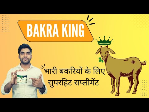 Bakra King 70 Bolus Jar - YouTube video