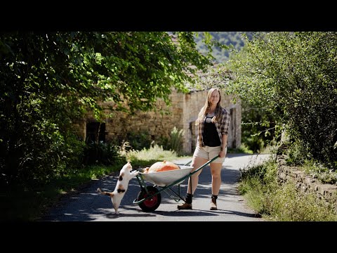 Pumpkin Harvest & Hanging the Hayloft Doors (#95)