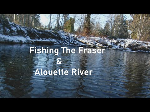 Fishing The Fraser River &amp; Alouette River
