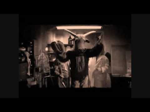 Bloc Party vs Katy Perry (Divide & Kreate) - I Kissed A Banquet (Party Kisser)