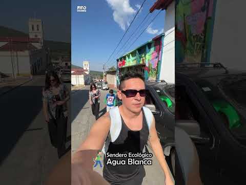 Bochalema - Cascadas y el árbol milagroso 🌳