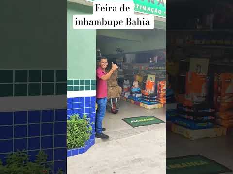 feira de inhambupe Bahia