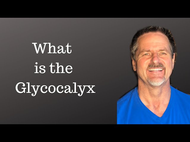 Video Uitspraak van glycocalyx in Engels