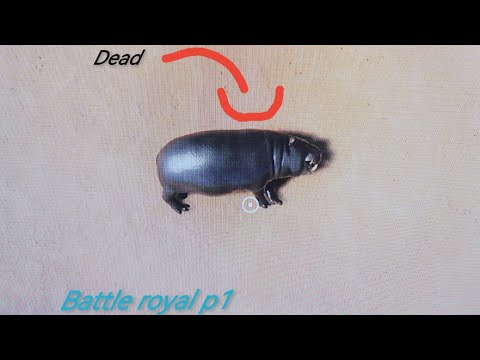 Planet zoo battle royale p1