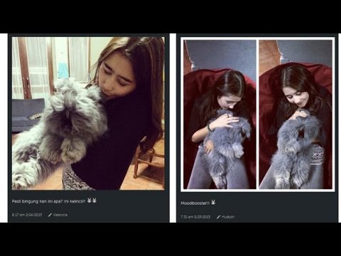 Kepo Gosip Artis Hari Ini 24 Juli 2015 - Saat syuting Prilly dikawal karena Melanda Sakit Typus