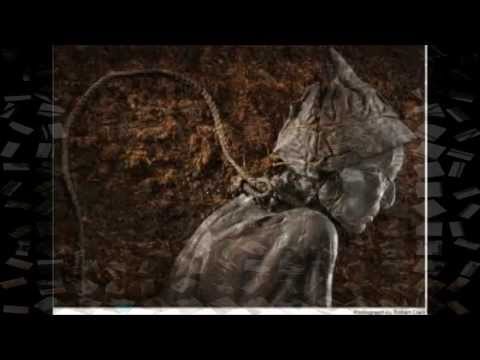 BANSHEE (US) - Hangman Lies (2012)