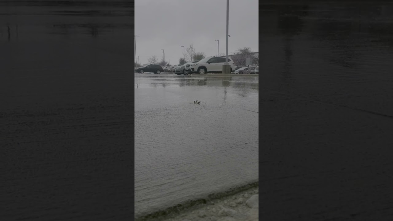 Another rainy day at work. Like, comment and/or Subscribe for more 😁 #rain #work #cars