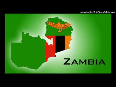 Petersen Zagaze - Ma Offals