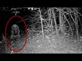 5 Goblins Caught on Camera