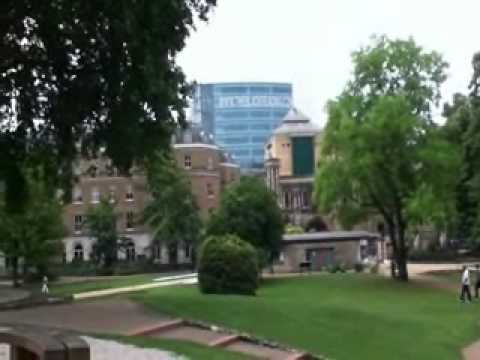 Young Rage and Buzz - Dedication (Remix) the video