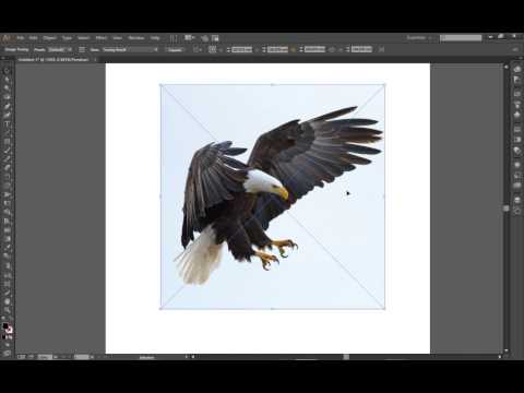 download lagu mp3 mp4 Illustrator Tutorial Tracing, download lagu Illustrator Tutorial Tracing gratis, unduh video klip Illustrator Tutorial Tracing