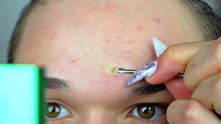 TONE TESTAR: PORKLÄMMARE