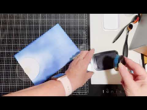 Lavinia Stamps  Leyla and Wren Dancing in the Midnight sky.