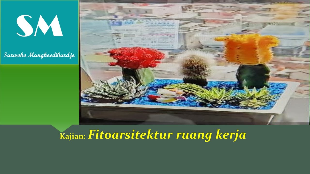 Fitoarsitektur ruang kerja #video #channel #lingkungan #top #rekomendasi #tanamanhias