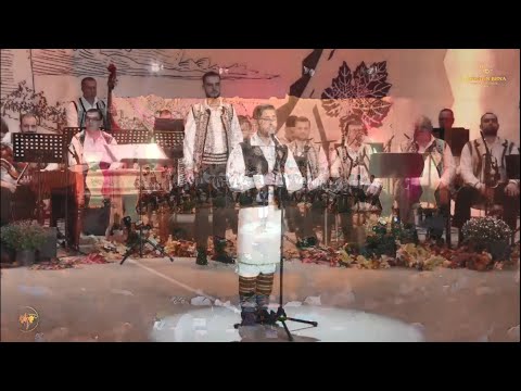 Florin Mihalache - Festivalul Național de Folclor ”Strugurel de Aur” 2024