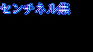 センチネル切り抜き第１弾